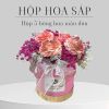 hop-hoa-sap-5-hoa-mau-don - ảnh nhỏ  1